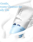 1025 Dokdo Cleanser