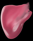 fwee - 3D Voluming Gloss 70% - Currant