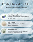 Arencia - Blue Hyssop Rice Mochi Cleanser