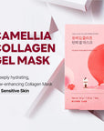 Round Lab - Camellia Deep Collagen Firming Gel Mask