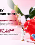 Round Lab - Camellia Deep Collagen Firming Gel Mask