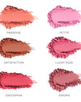 Close-Up Blurring Powder Blush - Lucky Rose