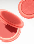 Close-Up Blurring Powder Blush - Paradise