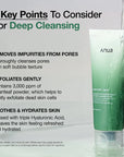 Heartleaf Quercetinol Pore Deep Cleansing Foam
