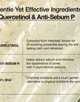 Heartleaf Quercetinol Pore Deep Cleansing Foam