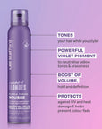 Bleach Blondes Purple Toning Mousse
