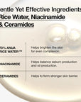Rice 70 Glow Milky Toner