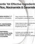 Anua – Rice Ceramide 7 Hydrating Barrier Serum