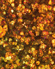 Glorious Lights Glitter Palette