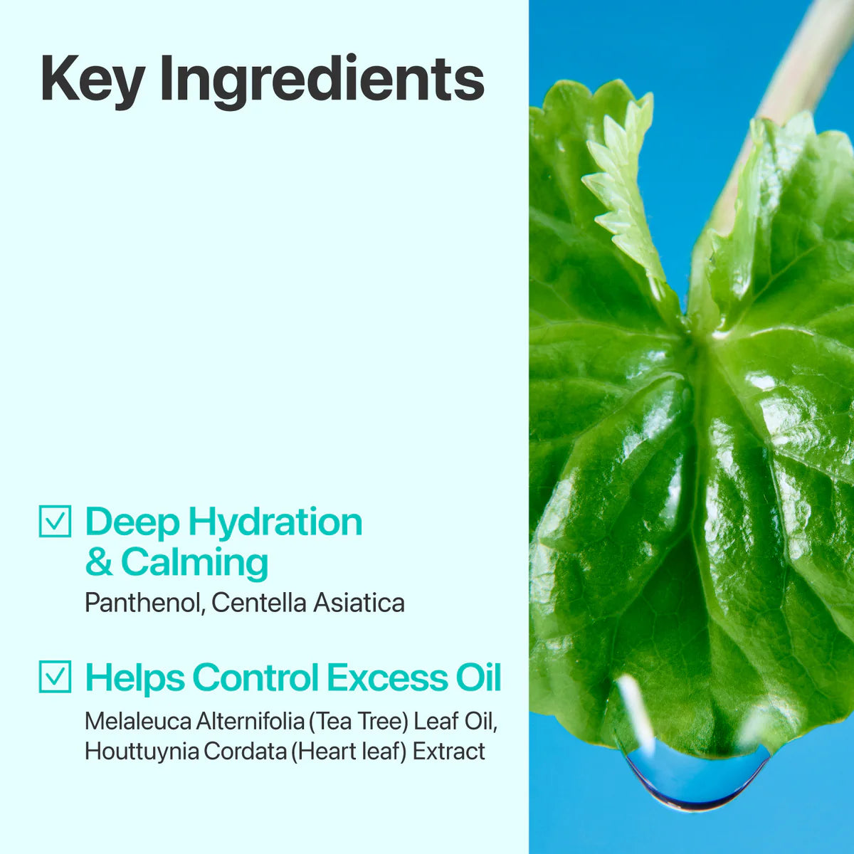 numbuzin - No. 1 Centella Re-Leaf Green Toner Pad