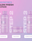 Bleach Blondes Everyday Care Treatment Mask