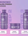 Bleach Blondes Purple Toning Shampoo