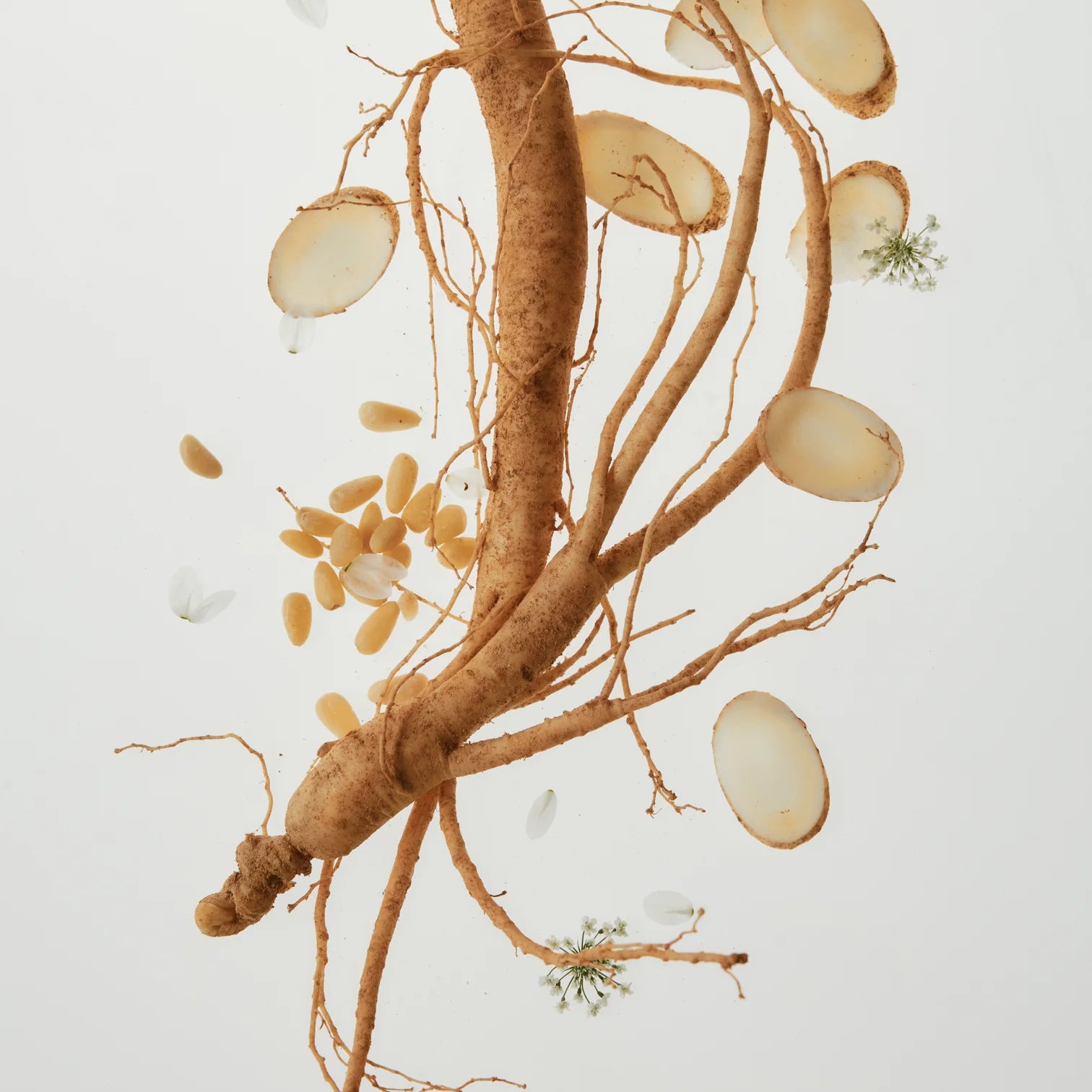 Revive Under Eye Patch: Ginseng + Retinal